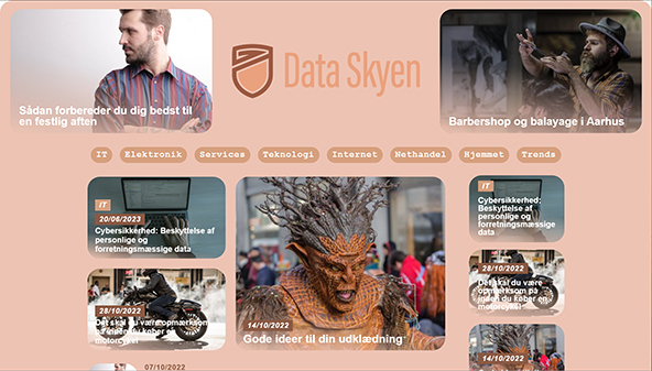 dataskyen.dk
