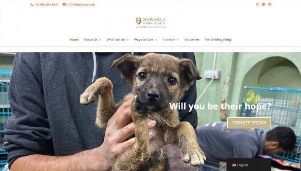 dharamsalaanimalrescue.org