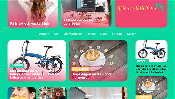 dinaaktiviteter.se