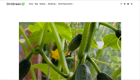 dirtgreen.com