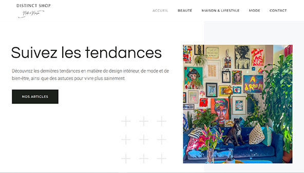 distinctshop.fr