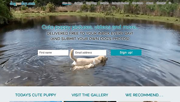 Kutya naponta (dogperday.com)