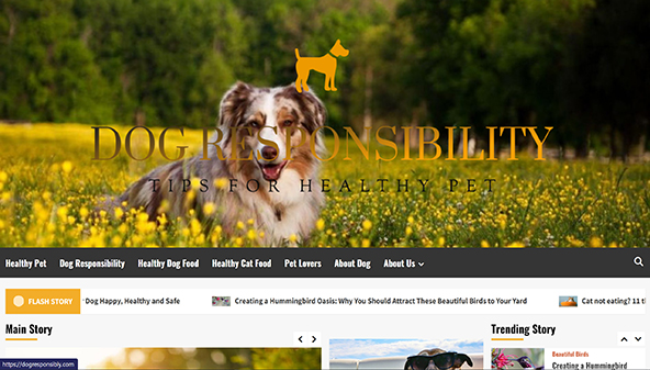 dogresponsibly.com