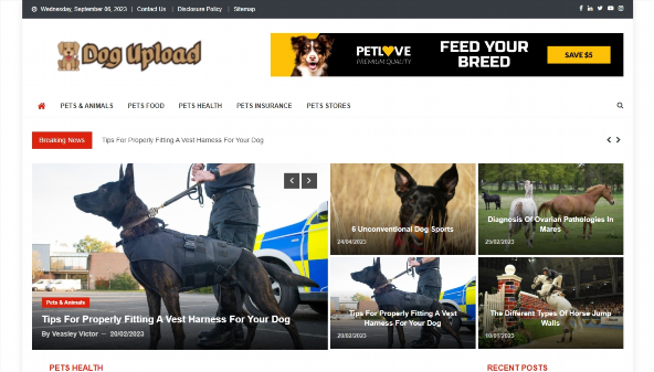 dogupload.com