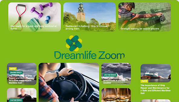 dreamlifezoom.com