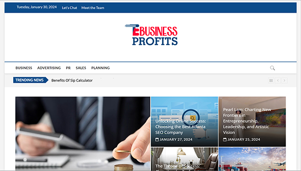 ebusinessprofits.com
