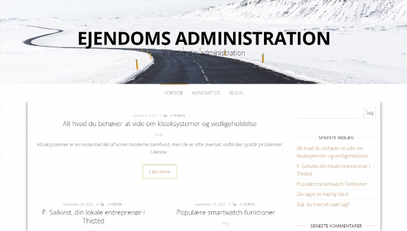 Amministrazione della proprietà (ejendomsf.dk)