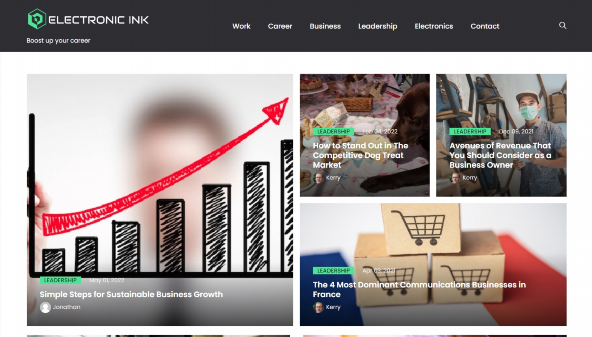 electronicink.com