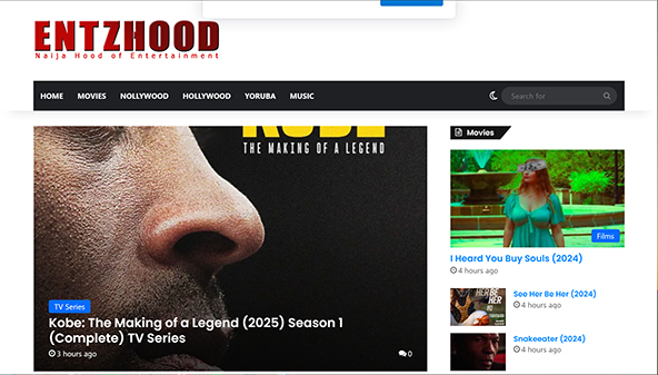 entzhood.com.ng