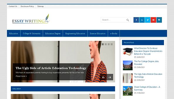 essaywritingservicee.net