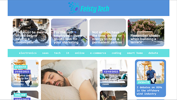 feistytech.com