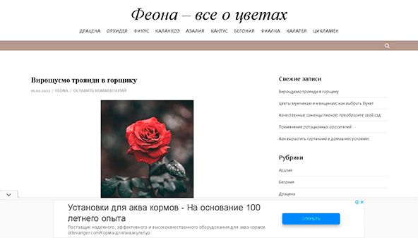 فيونا (feona.org)
