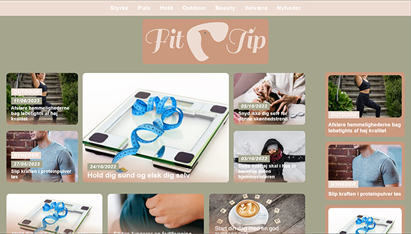 fittip.dk