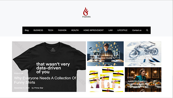fizara.com