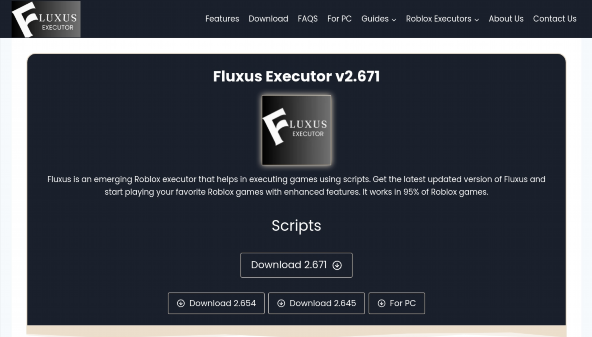 fluxusexec.com