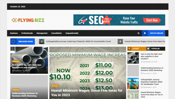 flyingbizz.com