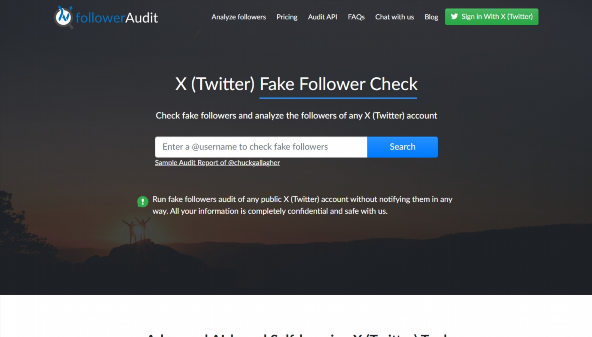 followeraudit.com