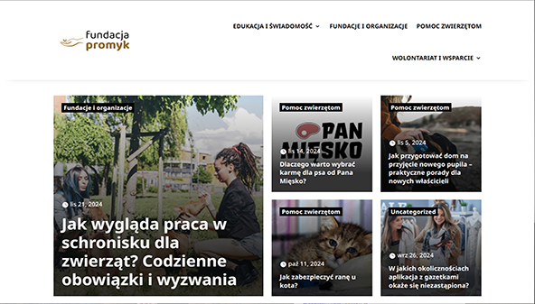 fundacjapromyk.pl
