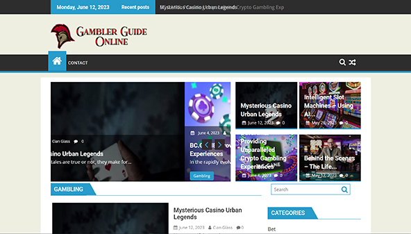 Gambler guide online (gamblerguideonline.com)