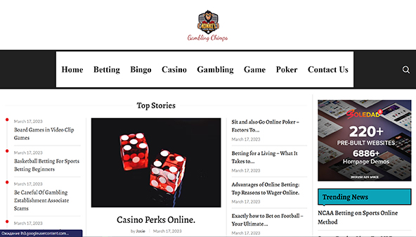 gamblingchimps.com