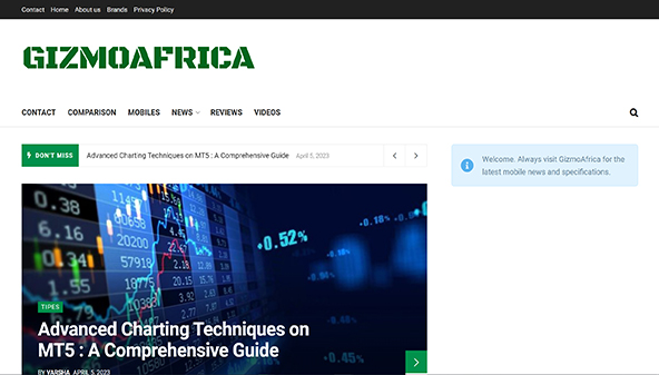 gizmoafrica.com