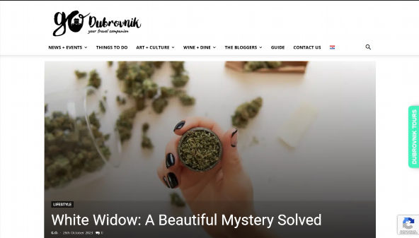 godubrovnik.com
