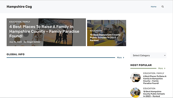 hampshirecog.org
