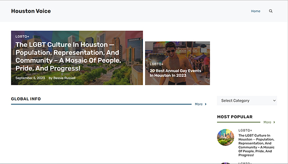 houstonvoice.org