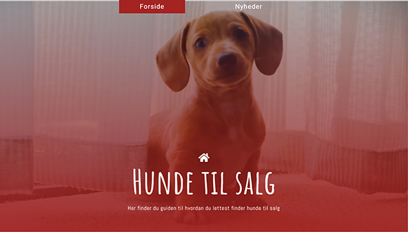 hunde-til-salg.dk