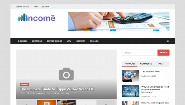 income-web.biz