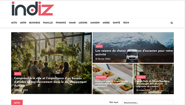 indiz.fr