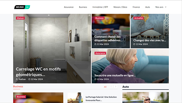 info-mag-annonce.com