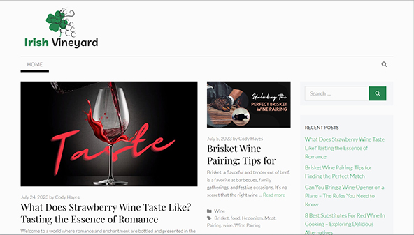 irishvineyard.com