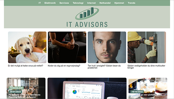 itadvisors.dk