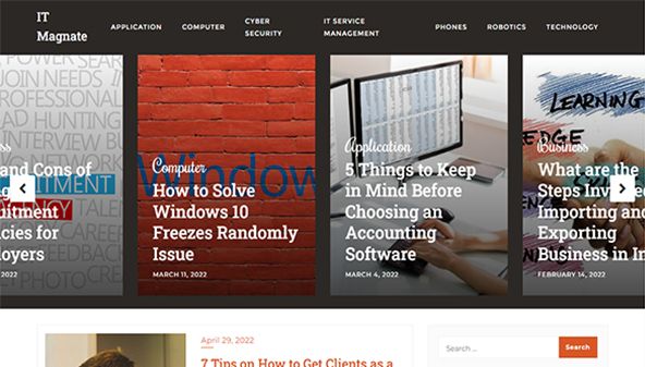 Magnat de l'informatique (itmagnate.com)