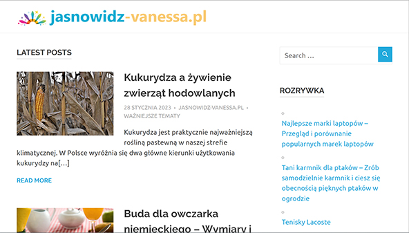 jasnowidz-vanessa.pl