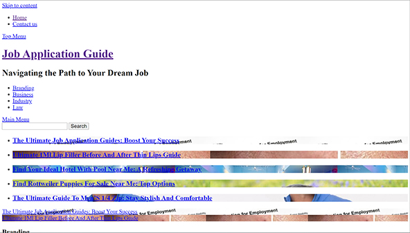 jobapplicationguide.info