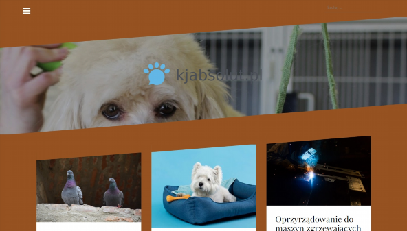 kjabsolut.pl