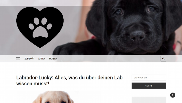 labrador-lucky.de