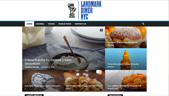 landmarkdinernyc.com