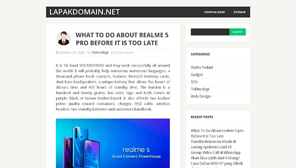 lapakdomain.net