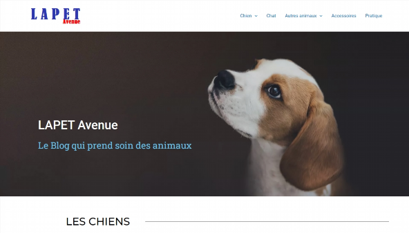 lapetavenue.com