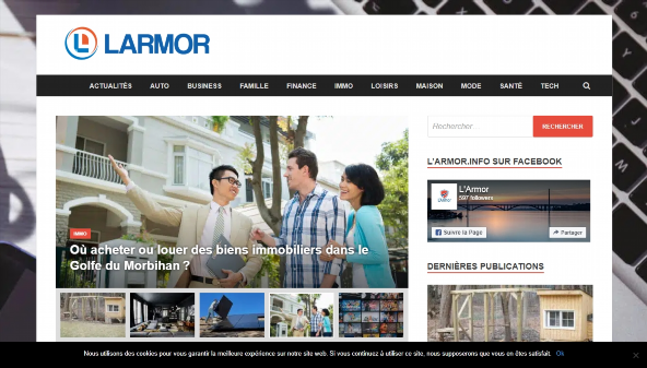 larmor.info