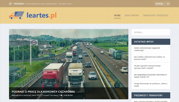 leartes.pl