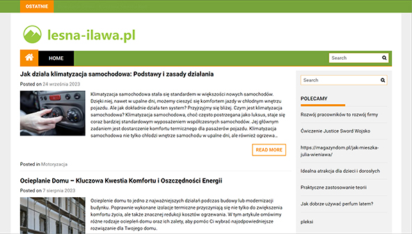 lesna-ilawa.pl