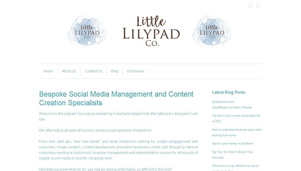 Маленькая кувшинка (littlelilypad.co.uk)