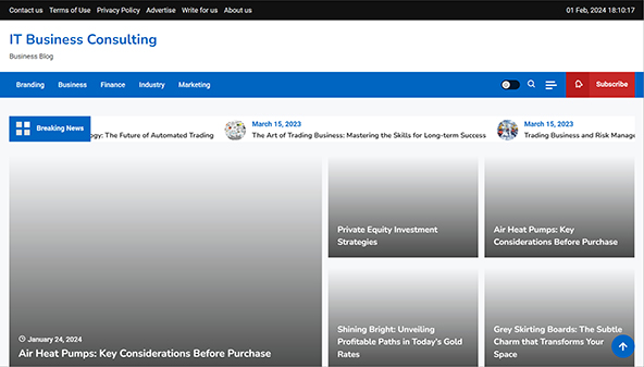 ltbusinessconsulting.com