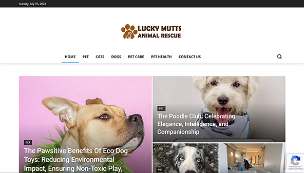 luckymuttsanimalrescue.com