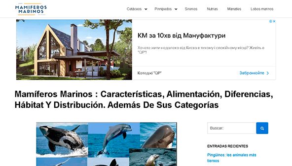 Meeressäugetiere (mamiferosmarinos.net)