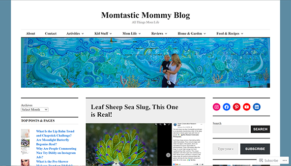 momtasticmommyblog.com
